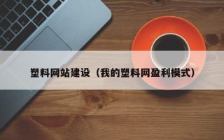 建湖塑料网站建设（我的塑料网盈利模式）