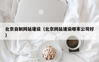 建湖北京自制网站建设（北京网站建设哪家公司好）